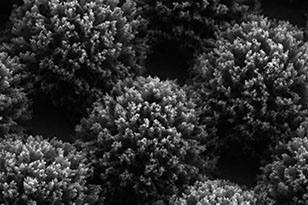 襄阳襄阳蔡司显微镜